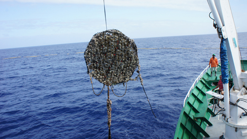 “BIOFAD” proyecto europeo coordinado por AZTI para probar materiales biodegradables en la construcción de Dispositivos Concentradores de Peces (DCPs) en el Océano Indico