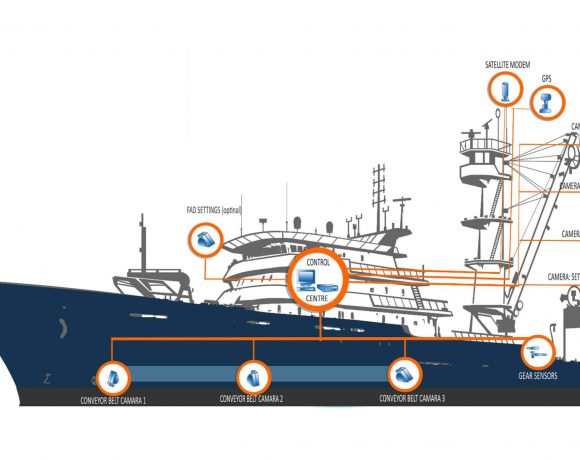 Cinco años de monitoreo electrónico a bordo de atuneros cerqueros tropicales