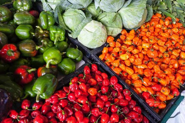 agricultura productos agricolas