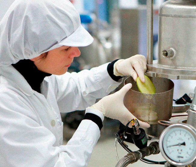 empresa planta piloto azti