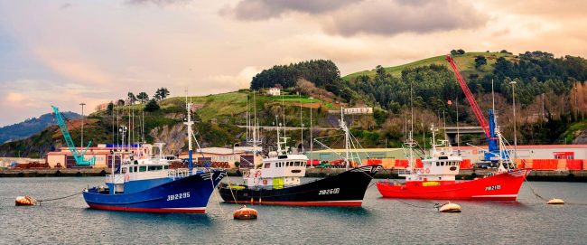 puerto puerto pesquero