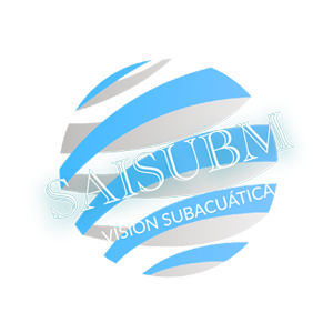 saisubm