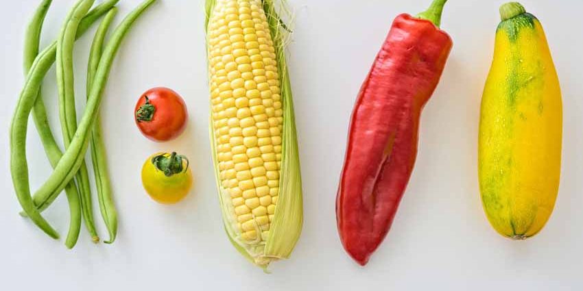 Evolución categoría plant-based Consumo productos origen vegetal españa