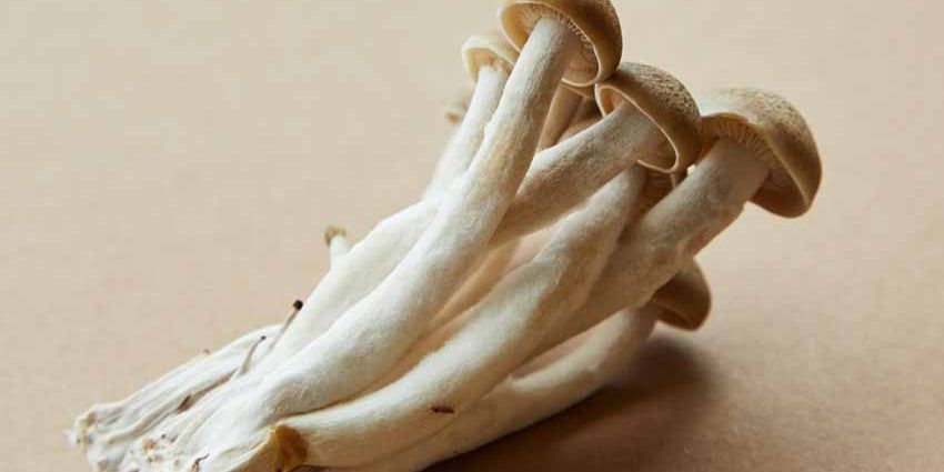 Transición proteica proteinas alternativas