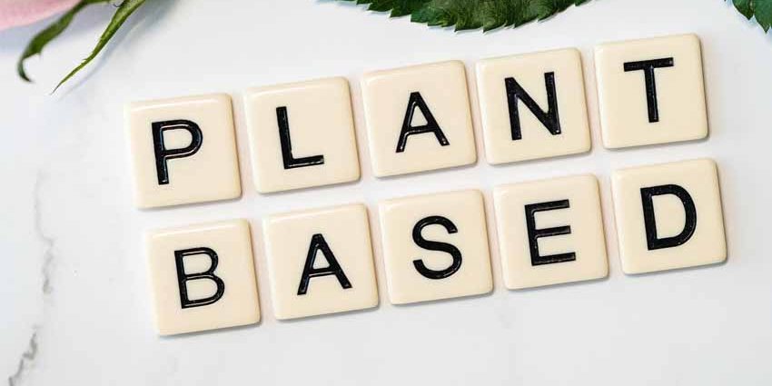 Mercado plant based productos veganos