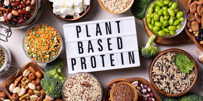 Innovación plant based