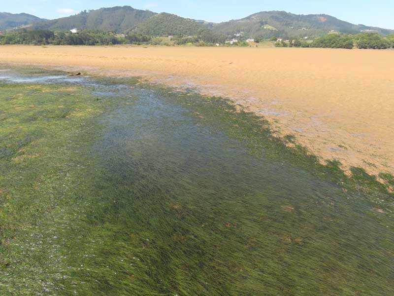 cambio climático litoral