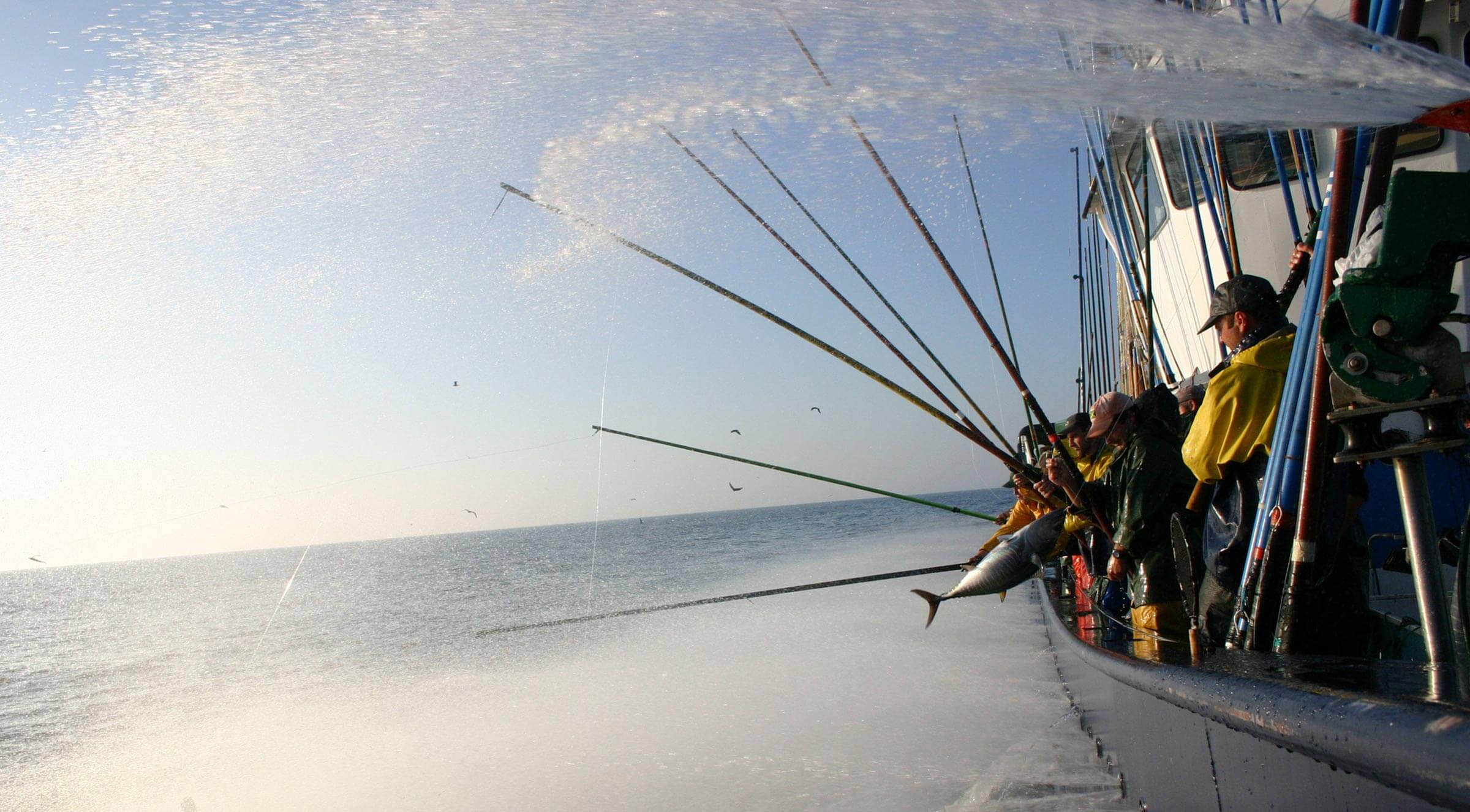 impacto del cambio climático en la pesca