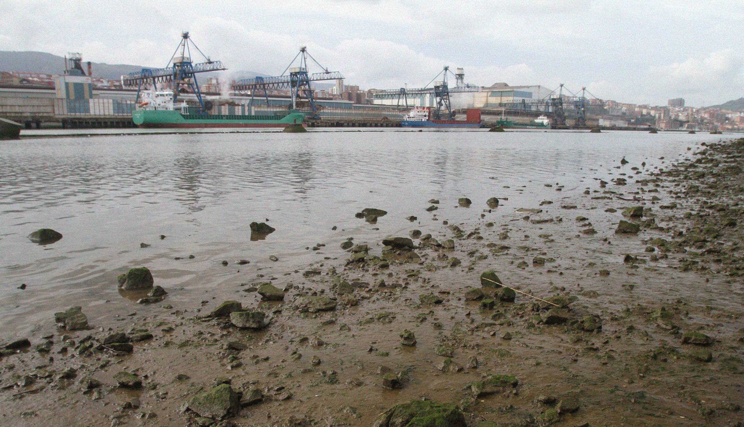 estudios-impacto-gestion-ambiental-mares-costas-azti Estudios de impacto de la contaminación marina