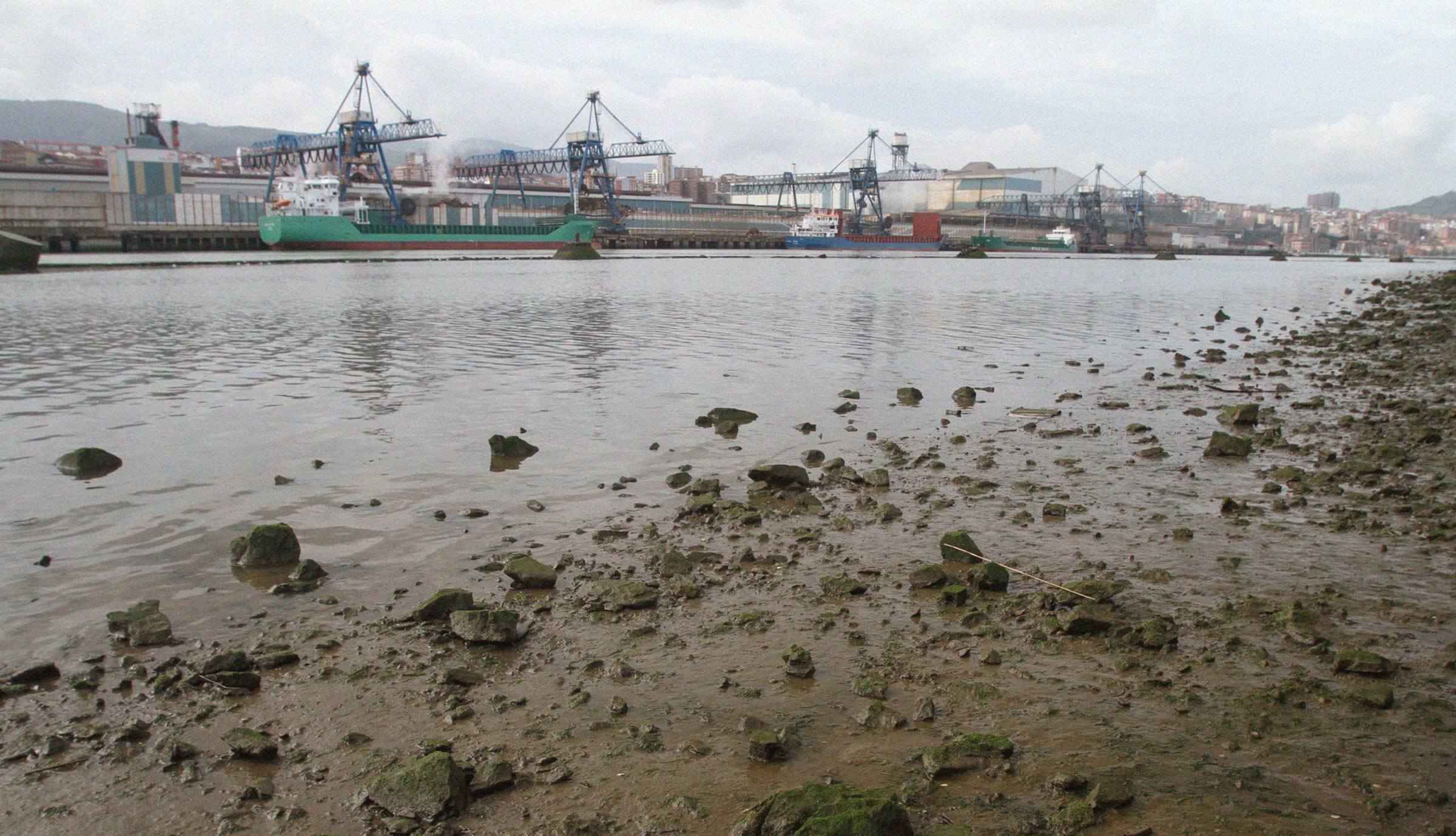 Estudios de impacto de la contaminación marina