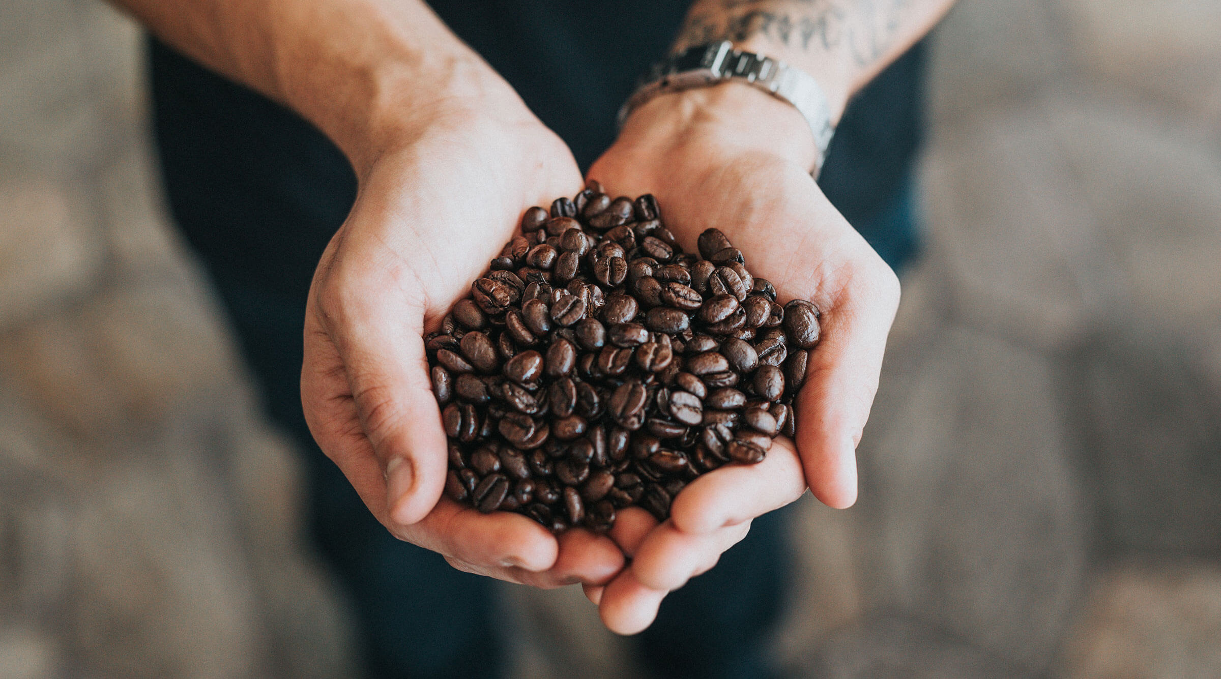 mano-granos-genetic-coffee-test-identificacion-genetica-del-cafe-azti