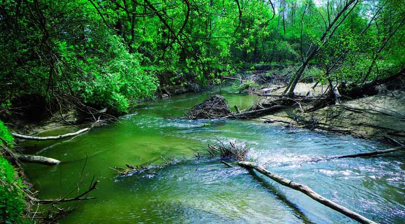 Impacto y calidad ambiental