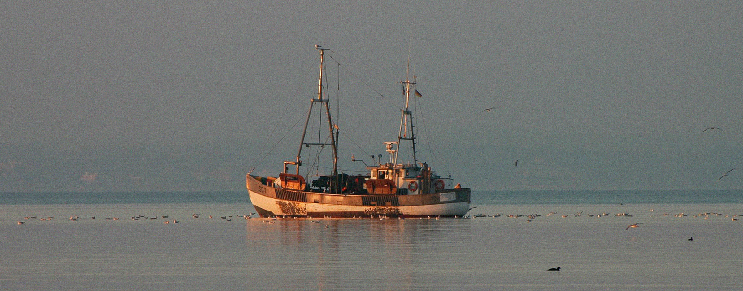 Bote pesquero pescando con redes en el mar