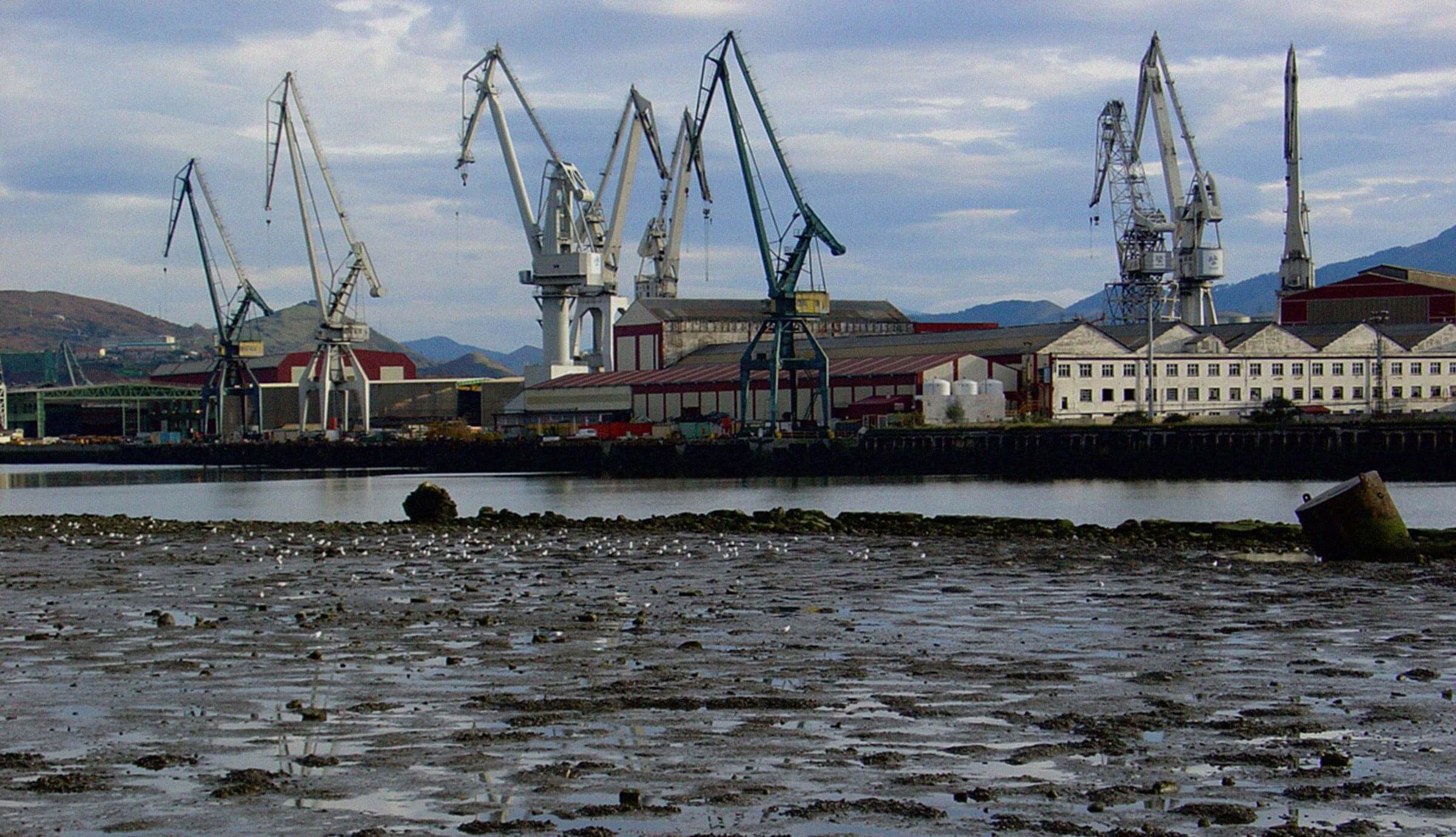 redes de vigilnacia gestión ambiental. Contaminación marina