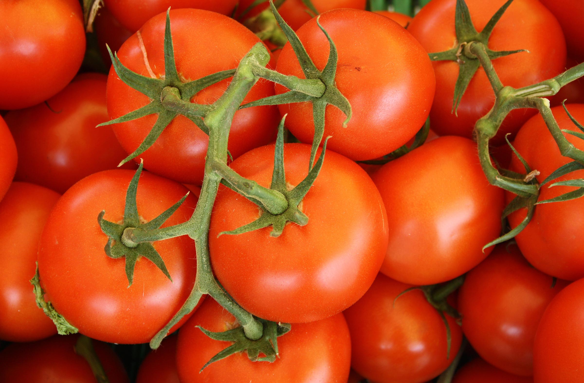 tomate-rojo-verdura-comportamiento-consumidor-azti