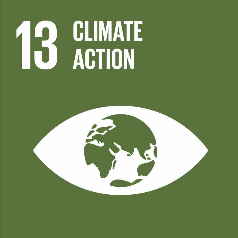 accion-por-el-clima ODS 13