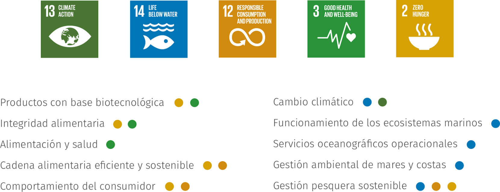 areas-de-especializacion-infografia-sobre-azti