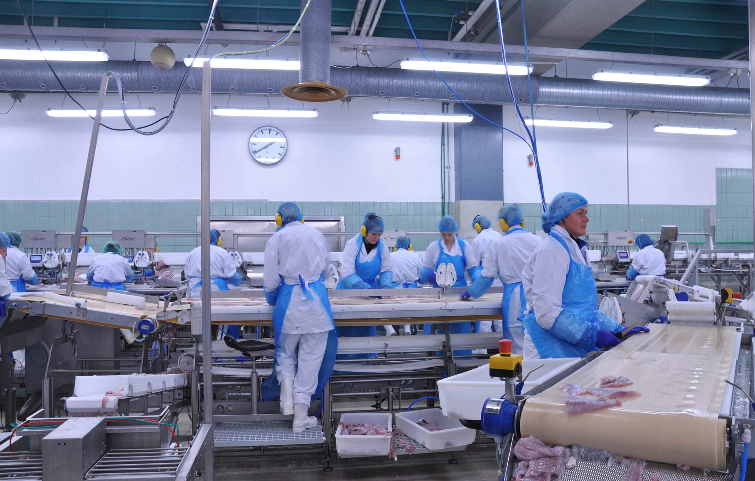 mujeres trabajando conservera