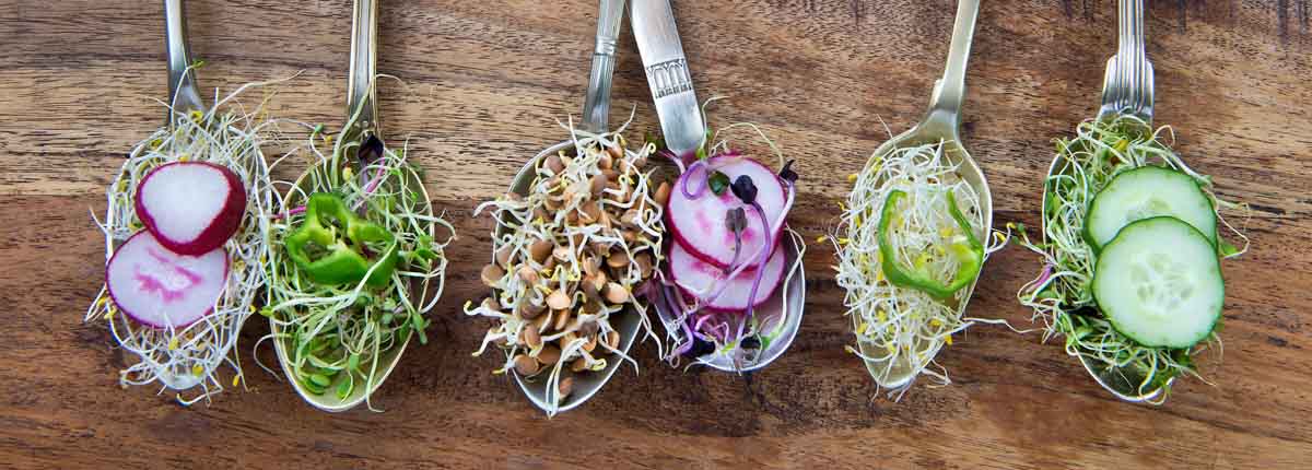 EITFood-keyimage2-HR alimentos en cucharas