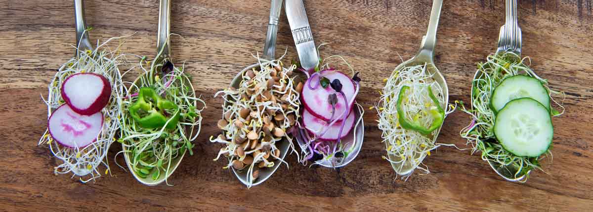 comida saludable en cucharas