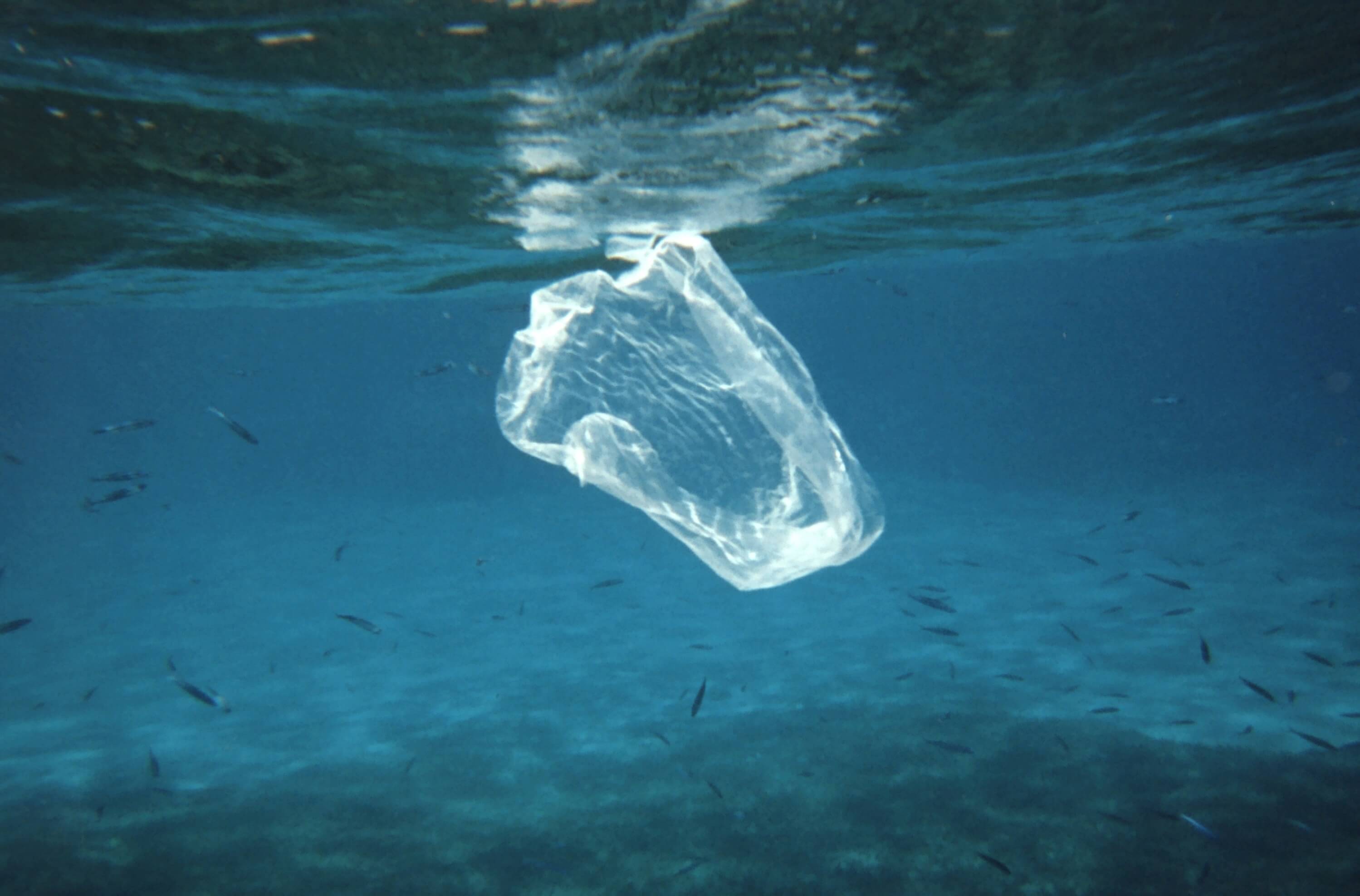 plastico en la mar