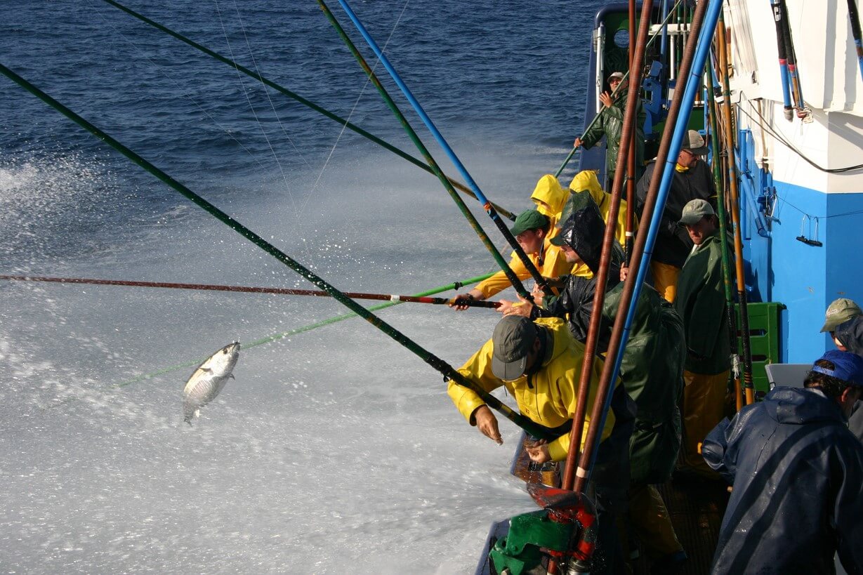 pesca de atun