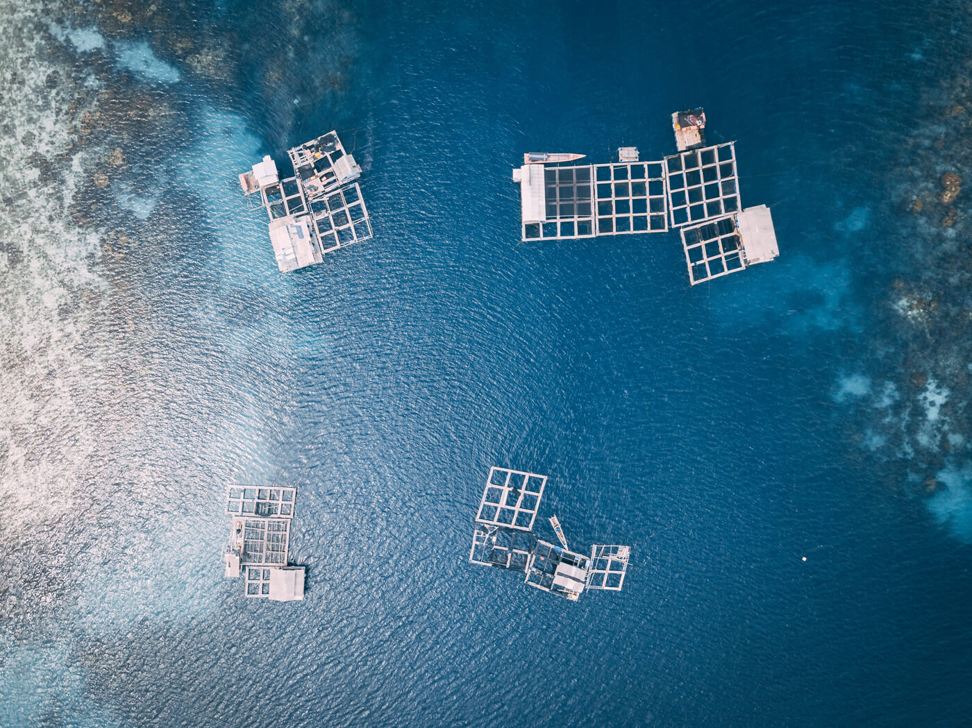 aquaculture_bluenet aquaculture_bluenet