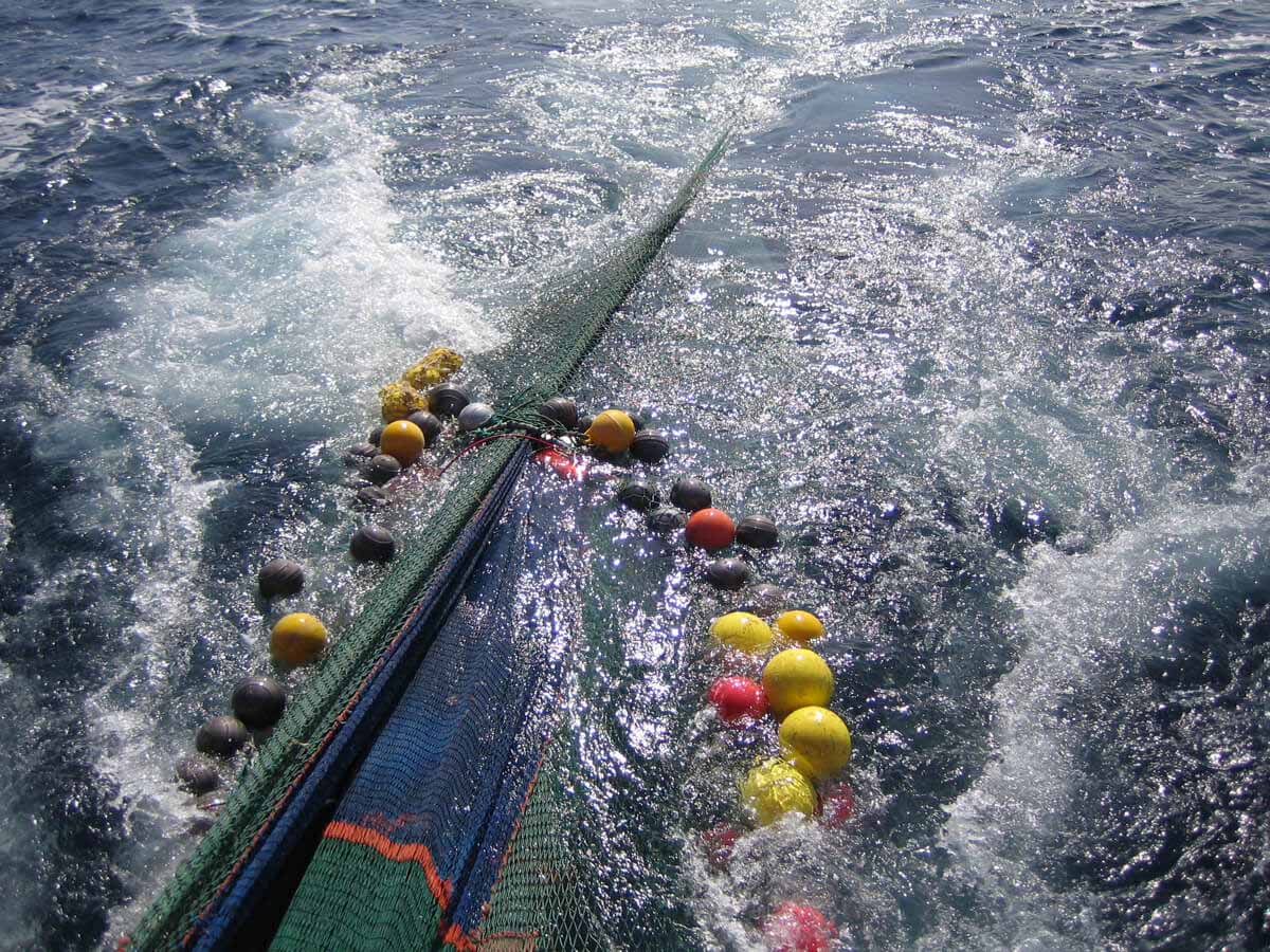 redes para reducir las capturas no deseadas en la pesca de arrastre
