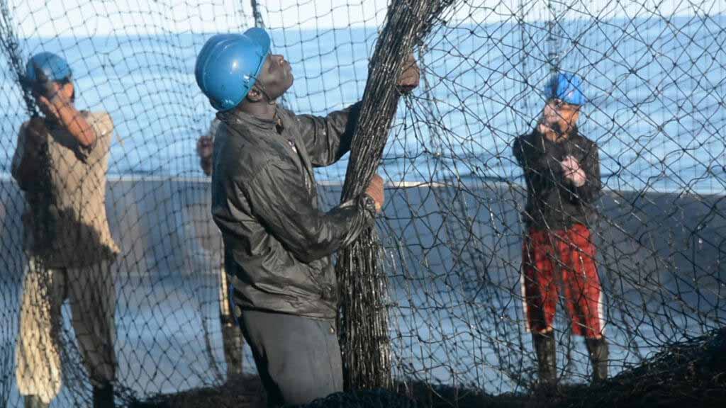 pescadores con redes para mejorar la sostenibilidad de la flota atunera