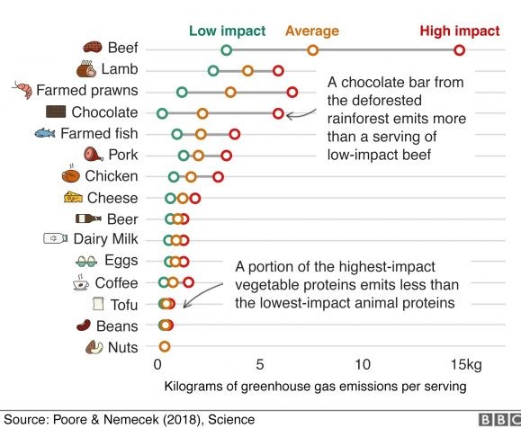 impacto ambiental de los alimentos