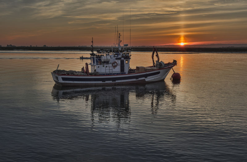 barco-pesca-sostenible