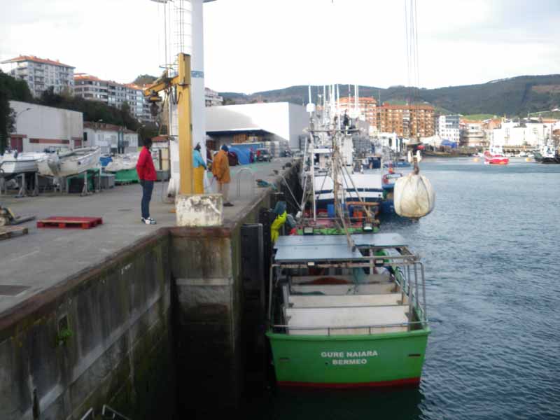 segurida laboral en barcos de pesca