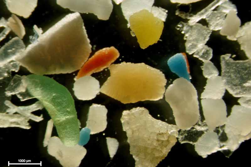 microplásticos a escala