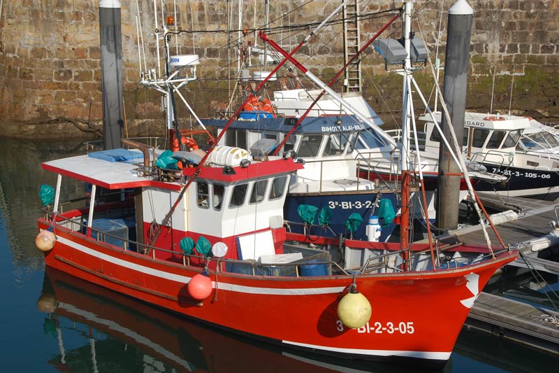 barcos pesqueros de pequena escala