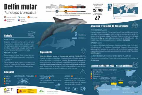 Especies marinas de la demarcacion noratlántica