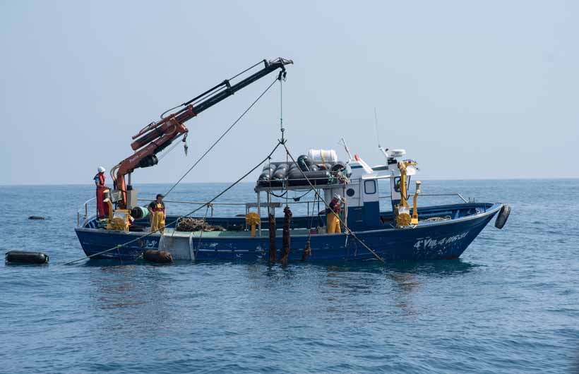 Cultivo mejillones mendexa