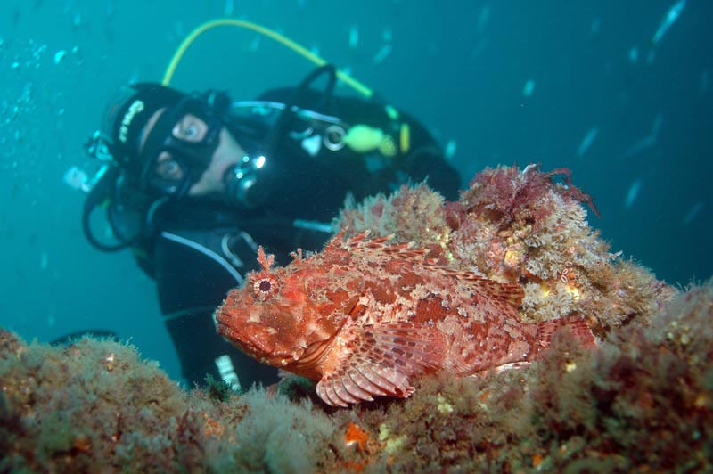 ecosistemas marinos cambio climatico