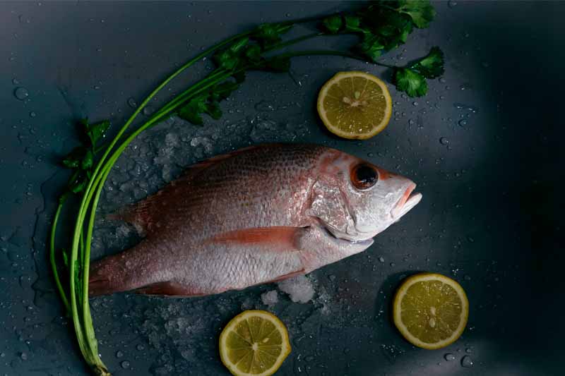 La importancia del pescado azul en la dieta