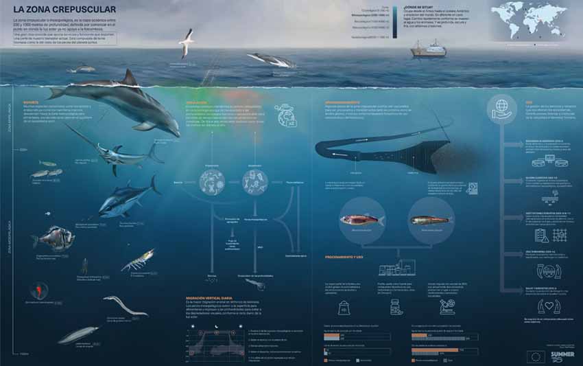 zona mesopelagica oceano