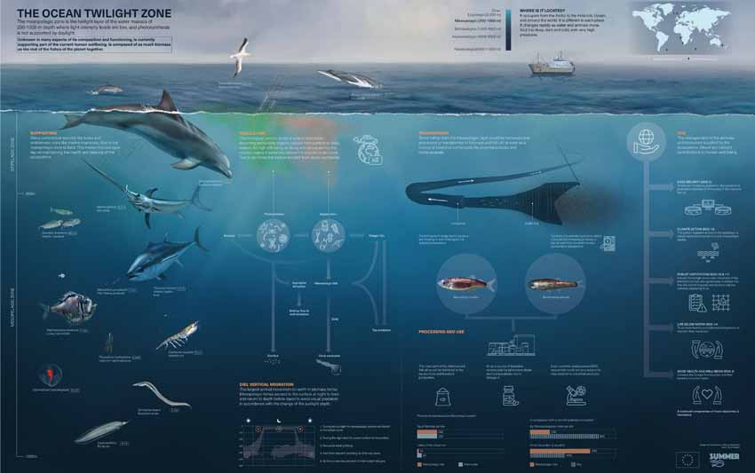 Zona crepuscular del oceano