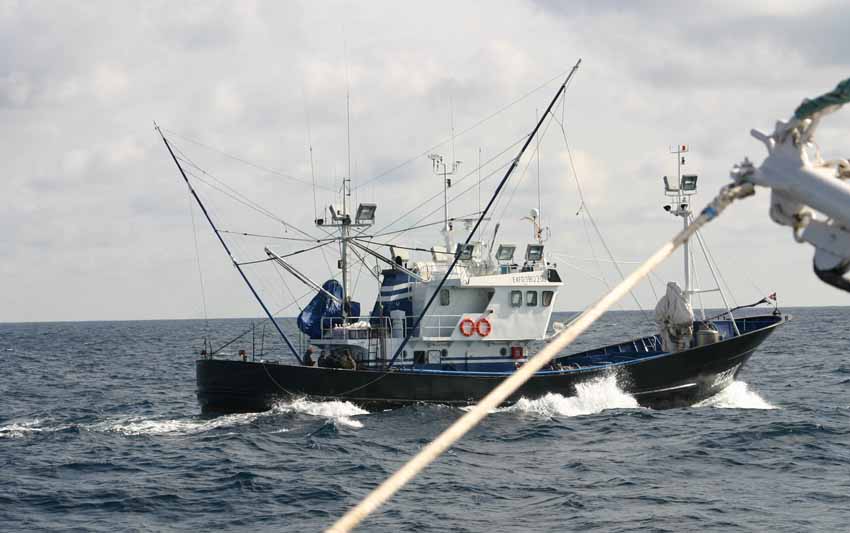 Barco pesca bonito