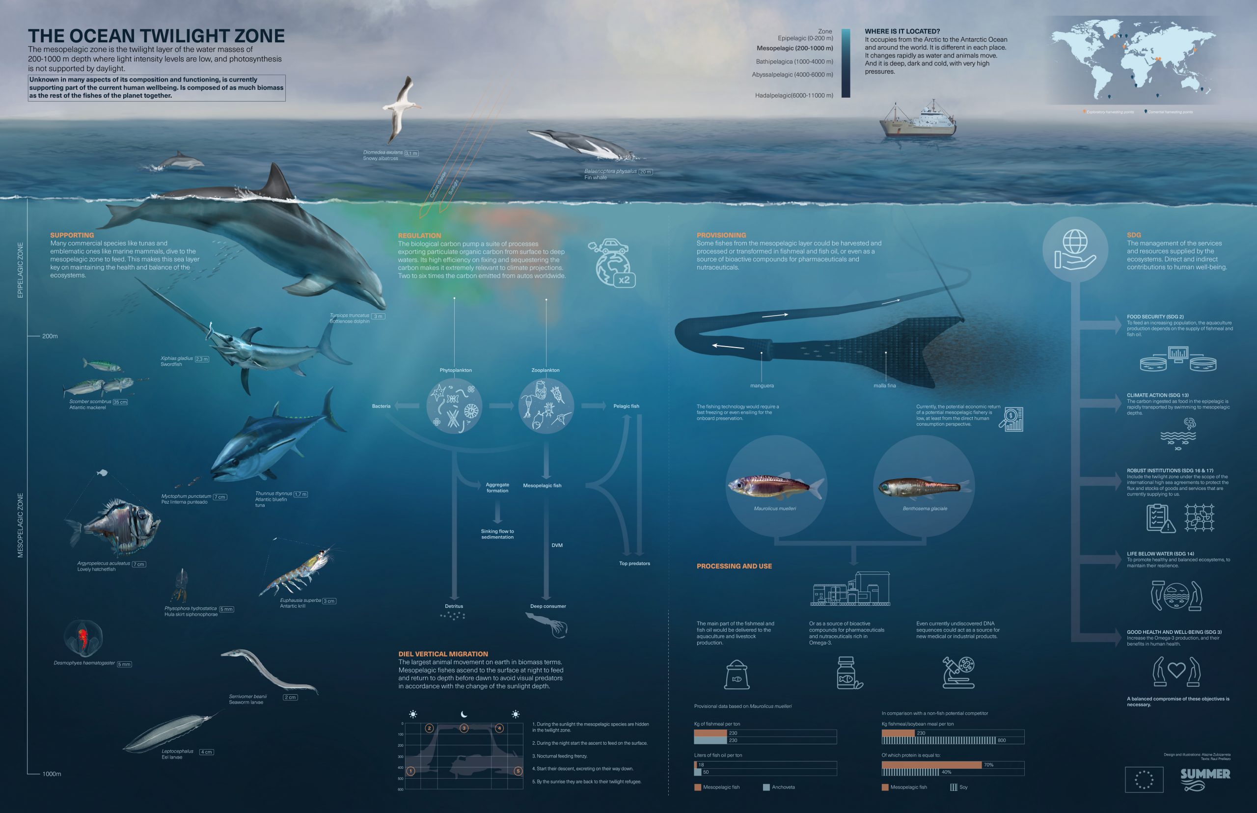 Infographic on the ocean twilight zone