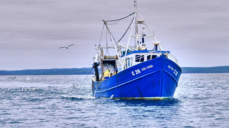 seawise_gestion_pesquera_sostenible seawise_gestion_pesquera_sostenible