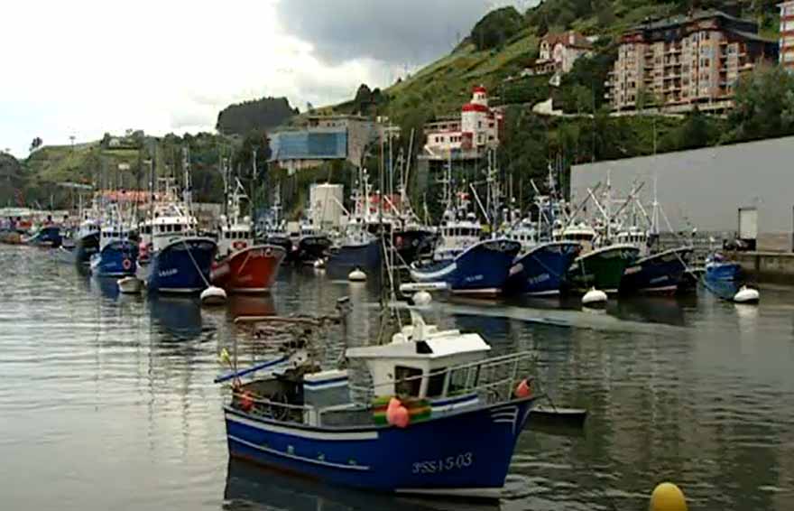 Barcos pesqueros en el puerto de Bermeo