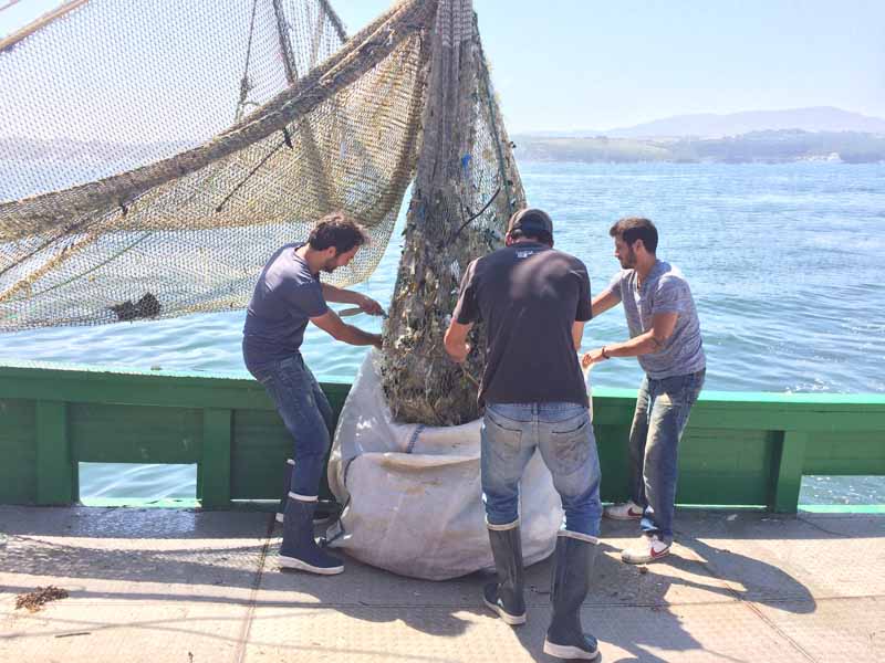 basuras_marinas_recogida basuras_marinas_recogida