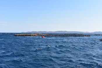 aquaculture