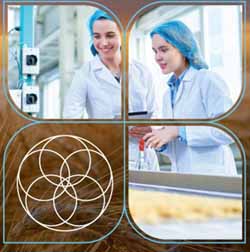 imagen-evento-rapidkids-web eitfood-curso-biosensores