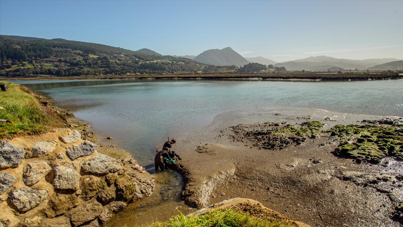 micromon_Monitoring_Estuar micromon_Monitoring_Estuaries