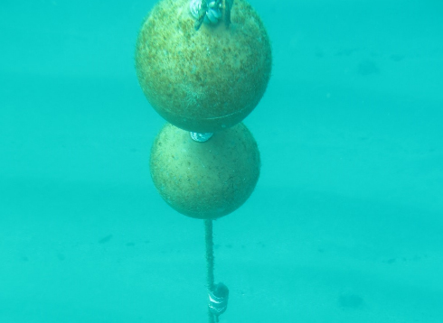 hidrofono usado en camapañas acusticas submarinas
