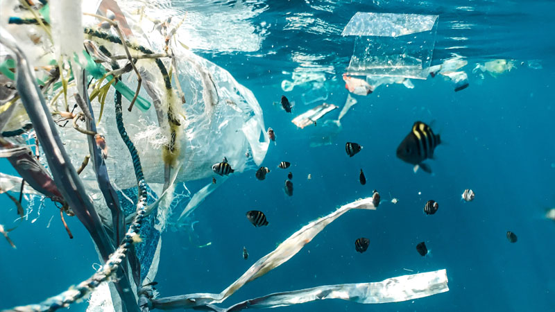 lamarca_azti Lagrangian transport of marine litter and microplastics